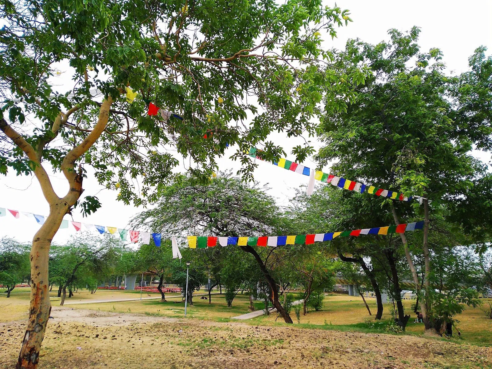 Majnu ka Tilla (New Aruna Nagar Tibetan colony), Delhi